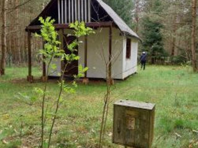 Bezpośrednio, Marksewo, 800 m² Działka
