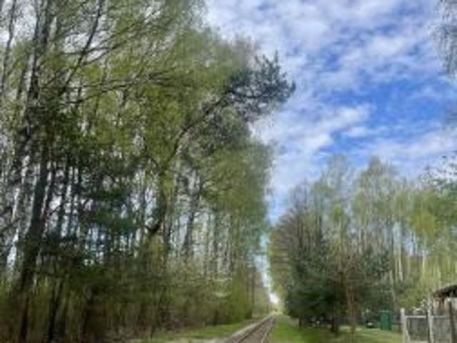 Bezpośrednio, Marylka, ul. Przy Kolejce, 1294 m² Działka