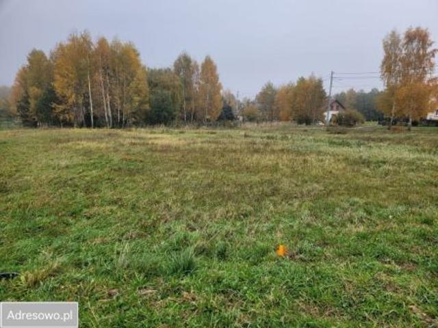 Bezpośrednio, Masłów Drugi, 1295 m² Działka