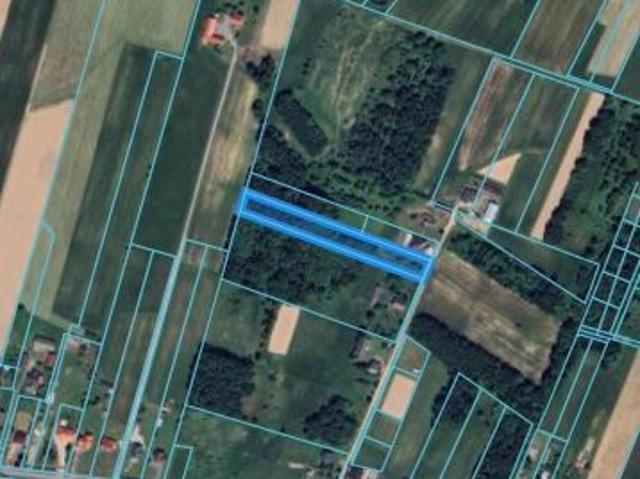 Bezpośrednio, Masłów Pierwszy, Parcele, ul. Mała, 4639 m² Działka
