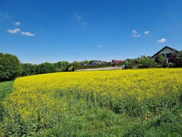 Bezpośrednio, Masłomiąca, ul. Spacerowa, 8500 m² Działka