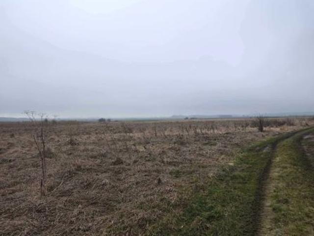 Bezpośrednio, Miączyn Kolonia, 10179 m² Działka