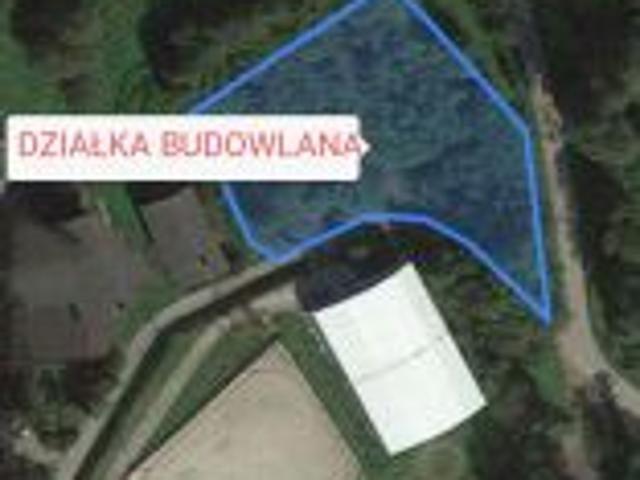 Bezpośrednio, Międzyrzecze Górne, 3218 m² Działka