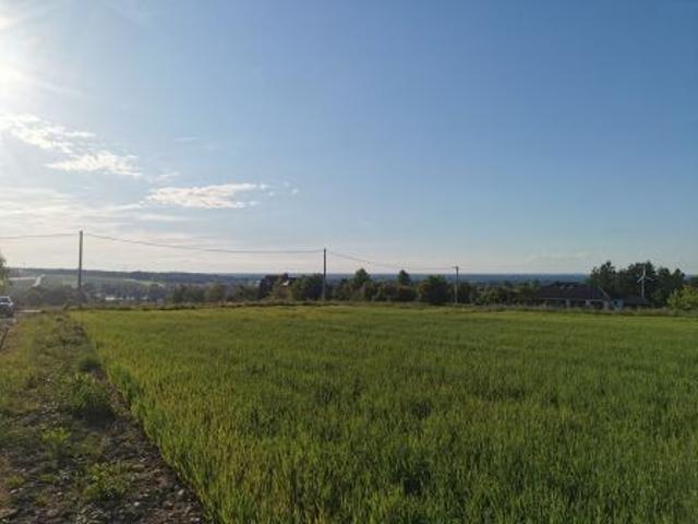 Bezpośrednio, Międzyrzecze Górne, 966 m² Działka