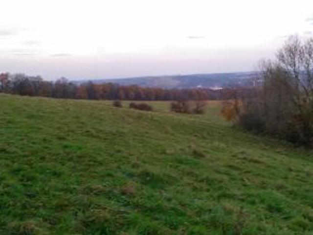 Bezpośrednio, Miłoszów, 72400 m² Działka