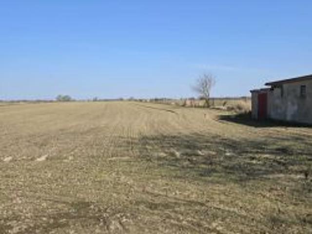 Bezpośrednio, Śmiłowo, ul. Działkowa, 10000 m² Działka