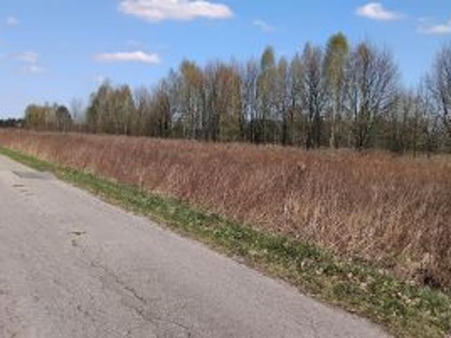Bezpośrednio, Miąse, ul. Dworska, 1340 m² Działka
