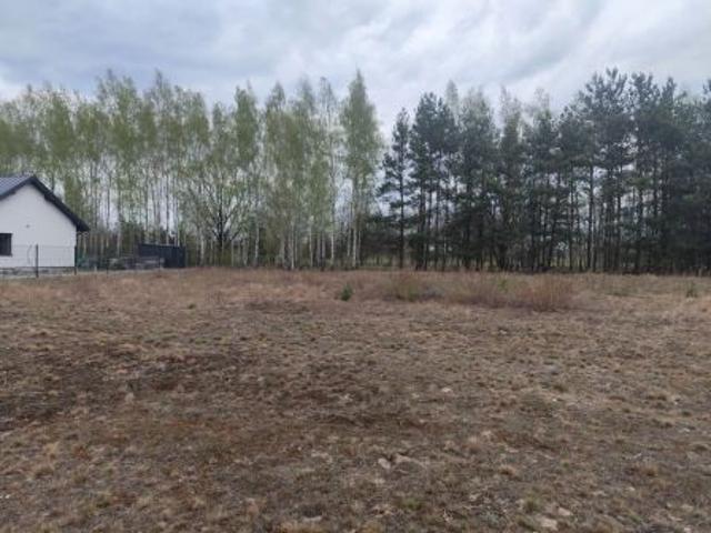 Bezpośrednio, Michałów, 1000 m² Działka