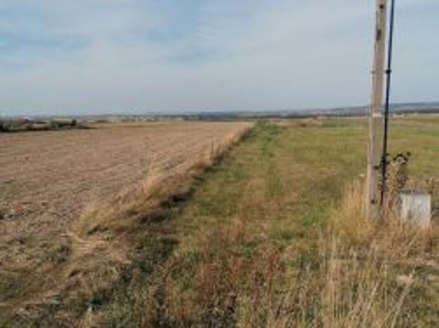 Bezpośrednio, Michałów, Betlejem, 10027 m² Działka