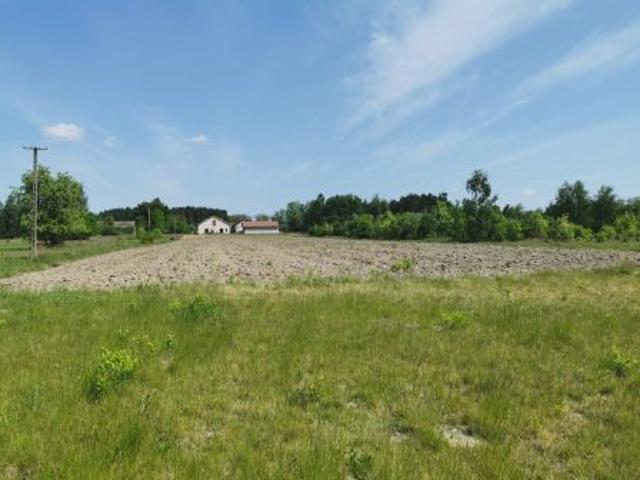 Bezpośrednio, Michałów, ul. Azaliowa, 1458 m² Działka