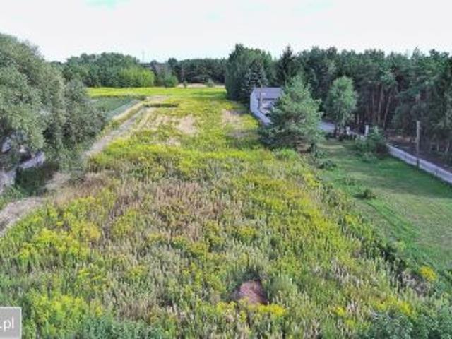 Bezpośrednio, Michałowice Wieś, ul. Kasztanowa, 1000 m² Działka