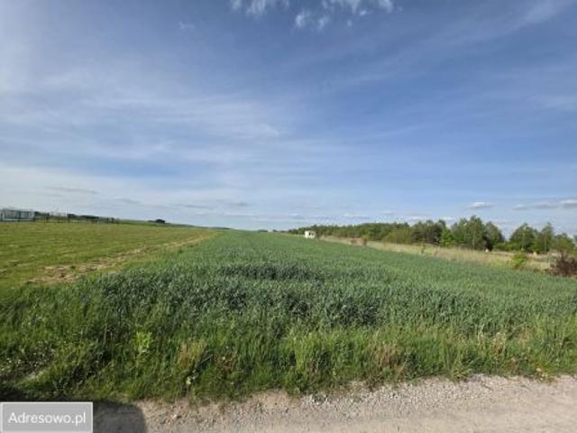 Bezpośrednio, Micigózd, ul. Kolonia, 10230 m² Działka