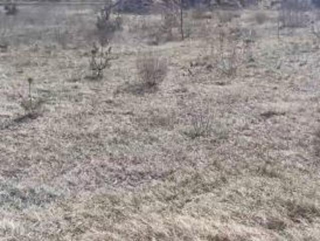 Bezpośrednio, Miechucino, ul. Zielona Dolina, 983 m² Działka