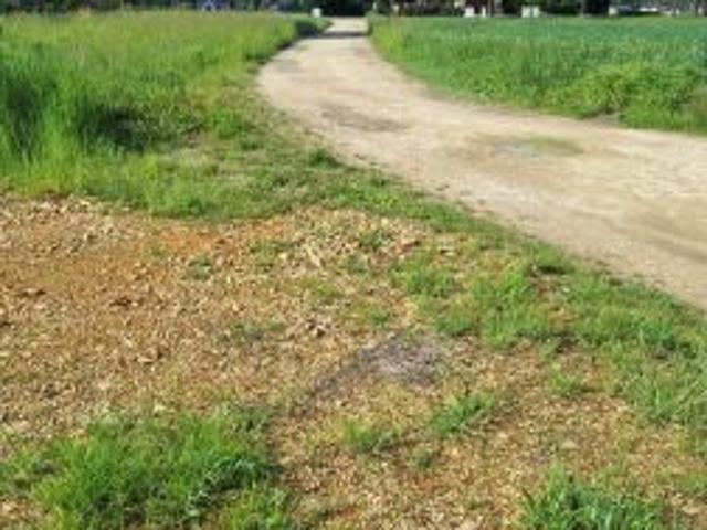 Bezpośrednio, Miedźna, ul. Topolowa, 1000 m² Działka