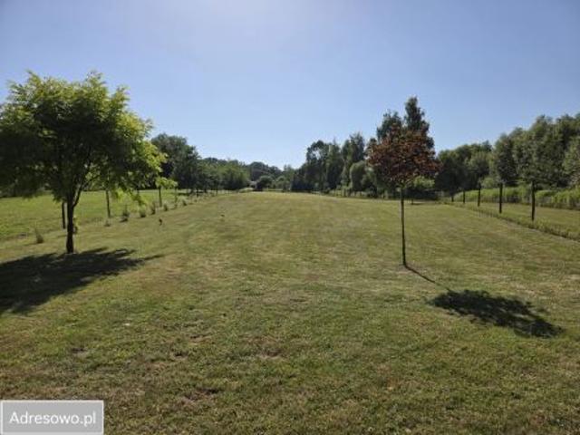 Bezpośrednio, Mielnów, 3768 m² Działka