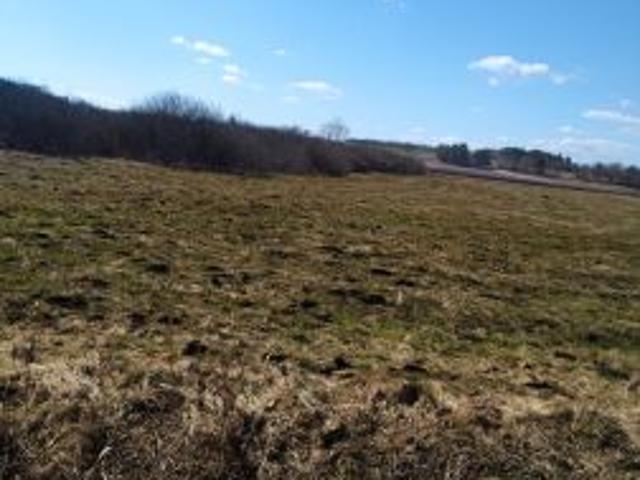 Bezpośrednio, Mieroszyno, ul. Starowiejska, 3600 m² Działka