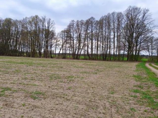 Bezpośrednio, Mierzyn, 3275 m² Działka