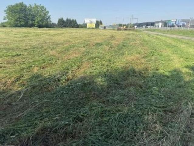 Bezpośrednio, Mikołajowice, 4700 m² Działka