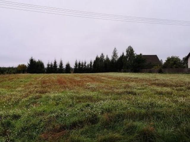 Bezpośrednio, Mikołajewo, 3002 m² Działka