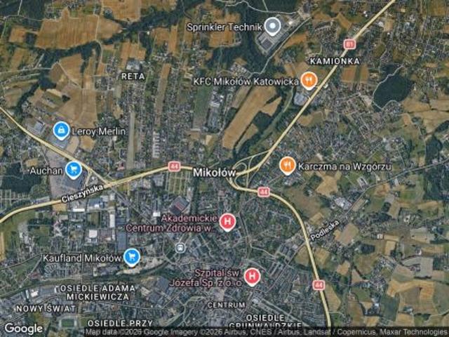 Bezpośrednio, Mikołów, Centrum, ul. Ludwika Waryńskiego, 831 m² Działka