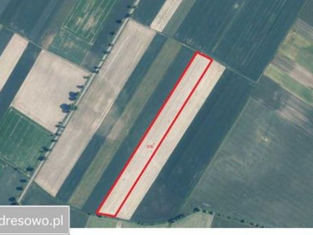 Bezpośrednio, Mikowice, 35200 m² Działka