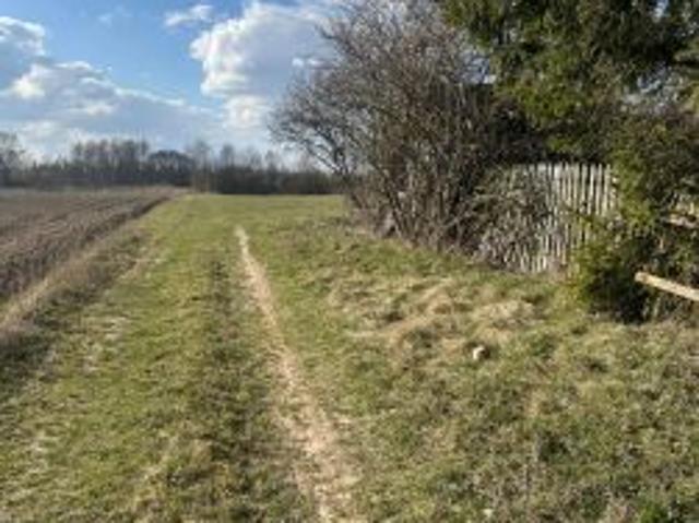 Bezpośrednio, Minkowice Kolonia, 3415 m² Działka
