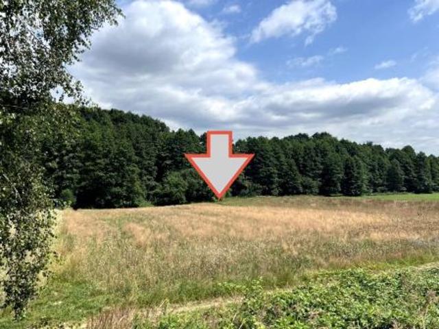 Bezpośrednio, Mszana, 2505 m² Działka