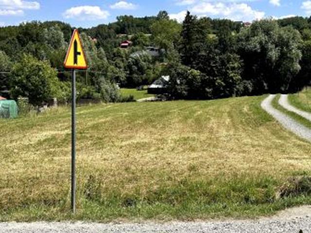 Bezpośrednio, Mszanka, 2900 m² Działka