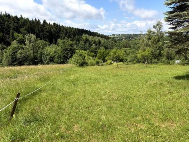 Bezpośrednio, Mszalnica, 6300 m² Działka