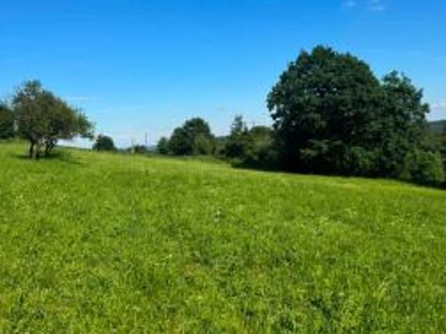 Bezpośrednio, Muchówka, 1631 m² Działka