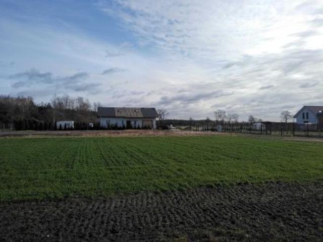 Bezpośrednio, Murzynowo Leśne, 625 m² Działka