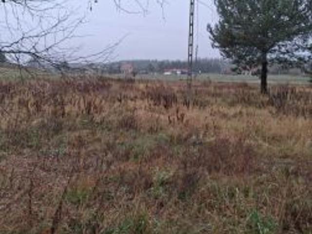 Bezpośrednio, Muszaki, 2280 m² Działka