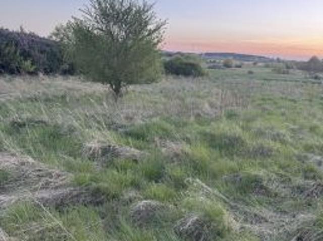 Bezpośrednio, Myślibórz, ul. Łużycka, 892 m² Działka