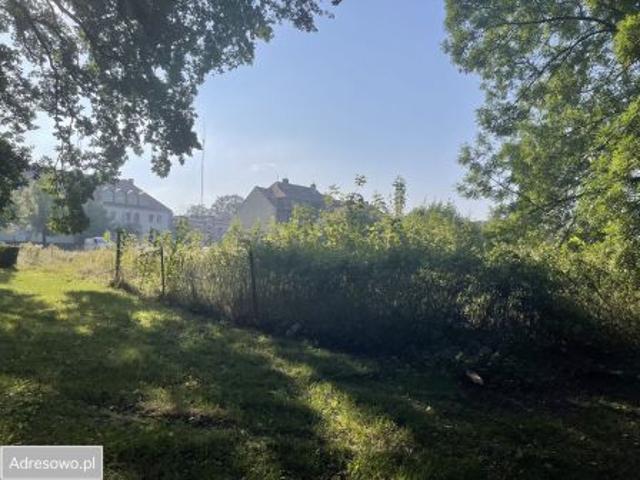 Bezpośrednio, Myślibórz, ul. 1 Maja, 2570 m² Działka