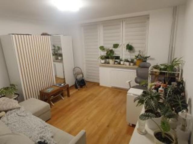 Bezpośrednio, Mysłowice, Centrum, ul. Gustawa Morcinka, 25 m² Mieszkanie