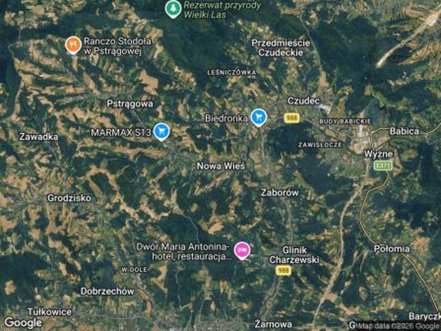 Bezpośrednio, Nowa Wieś, 13000 m² Działka