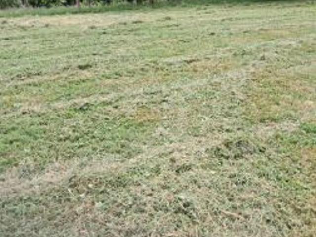 Bezpośrednio, Nowa Wieś, 4200 m² Działka
