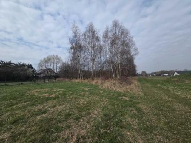 Bezpośrednio, Nowa Wieś, ul. Stefana Batorego, 2760 m² Działka