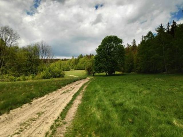 Bezpośrednio, Nowa Bystrzyca, 1000 m² Działka