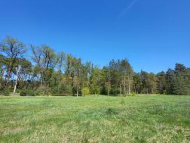 Bezpośrednio, Nowa Kuźnia, 1000 m² Działka