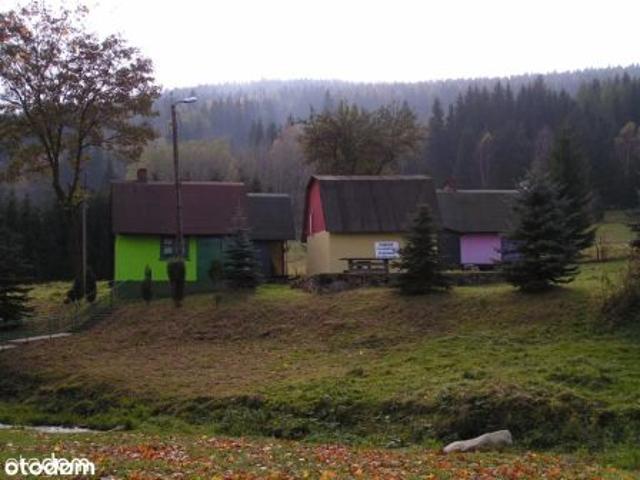 Bezpośrednio, Nowa Morawa, 200 m² Dom