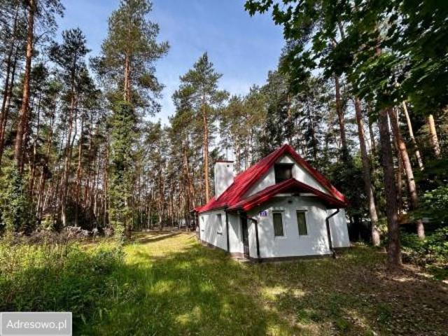 Bezpośrednio, Nowe Załubice, 75 m² Dom