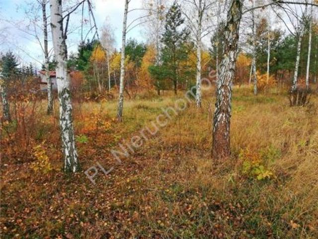 Bezpośrednio, Nowe Załubice, ul. Kościelna, 1400 m² Działka