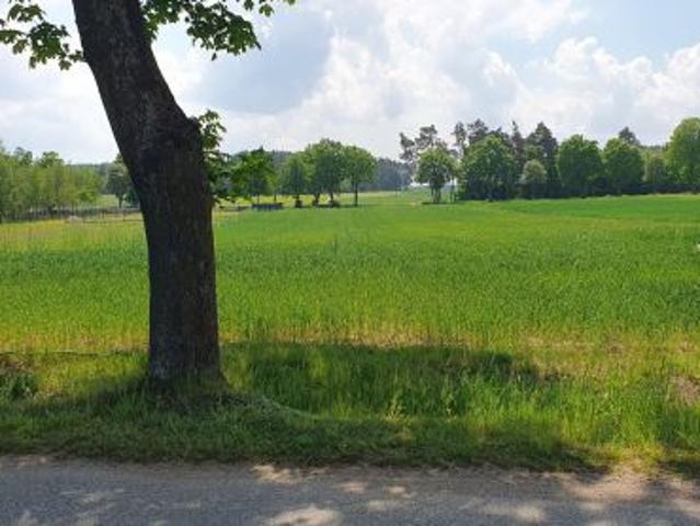 Bezpośrednio, Nowe Naruszewo, 1500 m² Działka