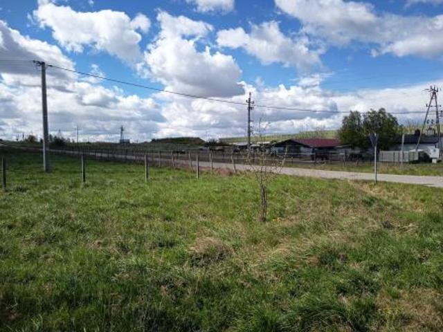 Bezpośrednio, Nowe Skoszewy, 1200 m² Działka