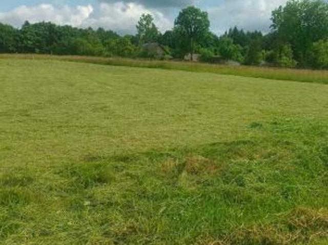 Bezpośrednio, Nowek, 5200 m² Działka