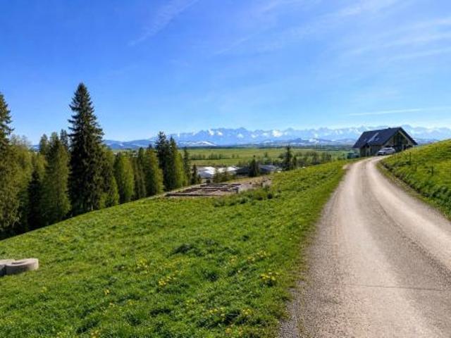 Bezpośrednio, Nowy Targ, Kokoszków, ul. Kokoszków, 2309 m² Działka