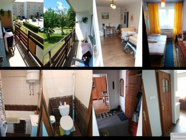 Bezpośrednio, Nowy Targ, ul. Podhalańska, 35 m² Mieszkanie