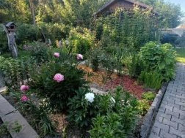 Bezpośrednio, Nowy Targ, 270 m² Działka