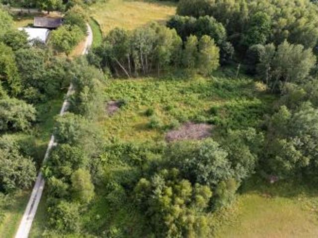 Bezpośrednio, Nowy Borek, 4300 m² Działka